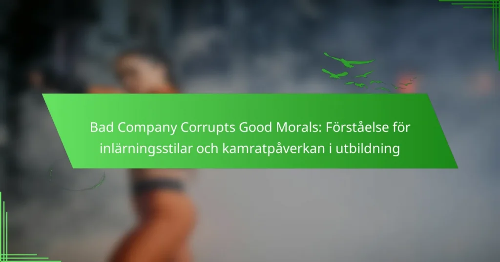 Bad Company Corrupts Good Morals: Förståelse för inlärningsstilar och kamratpåverkan i utbildning