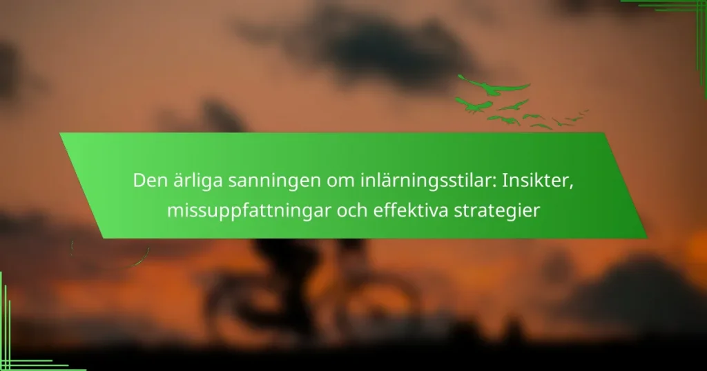 Den ärliga sanningen om inlärningsstilar: Insikter, missuppfattningar och effektiva strategier