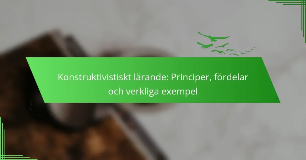 Konstruktivistiskt lärande: Principer, fördelar och verkliga exempel