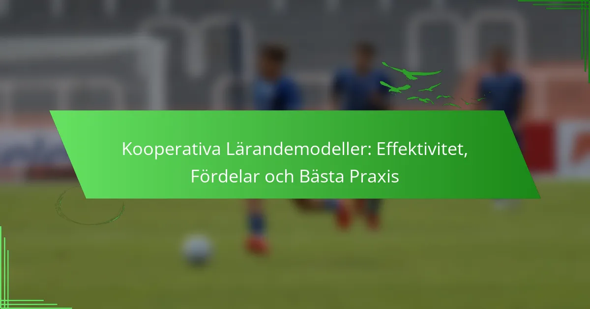 Kooperativa lärmodeller: Effektivitet, fördelar & bästa praxis