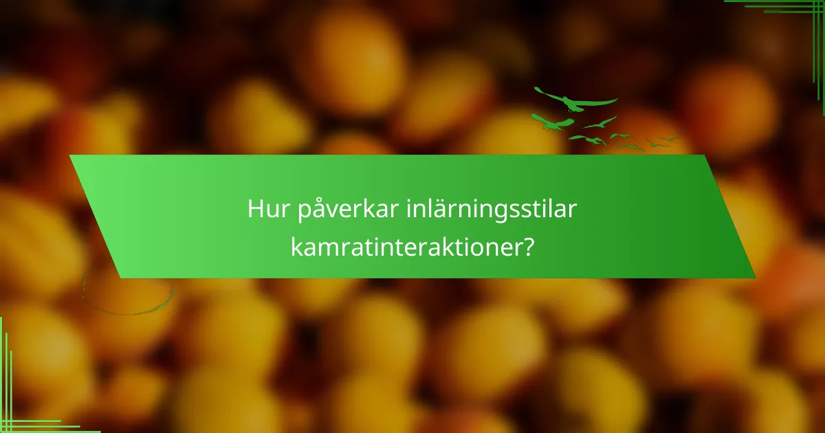 Hur påverkar inlärningsstilar kamratinteraktioner?