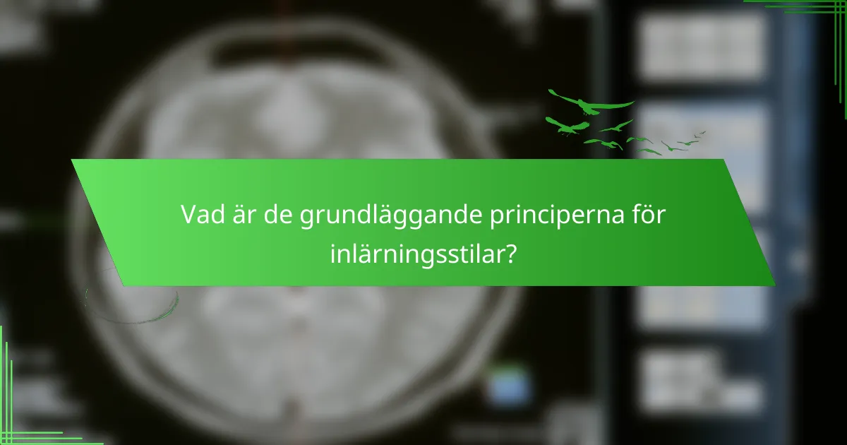 Vad är de grundläggande principerna för inlärningsstilar?