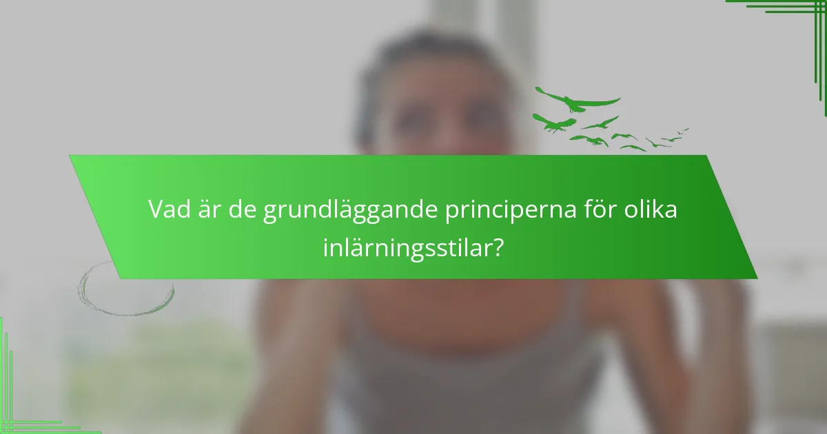 Vad är de grundläggande principerna för olika inlärningsstilar?