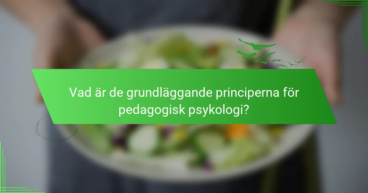 Vad är de grundläggande principerna för pedagogisk psykologi?