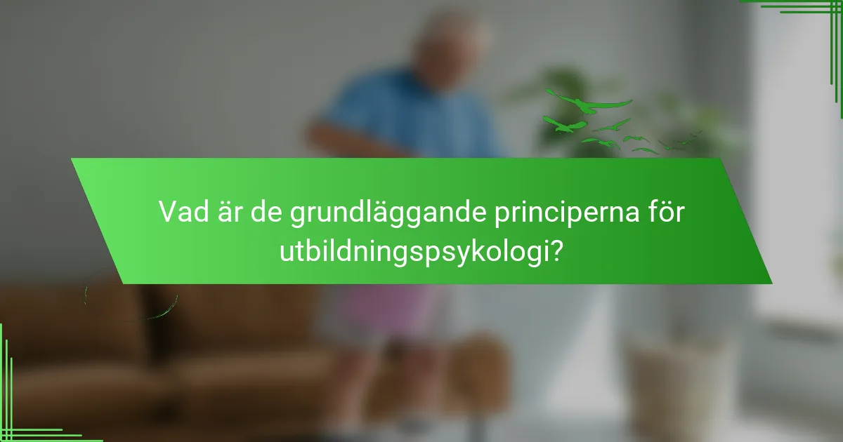Vad är de grundläggande principerna för utbildningspsykologi?