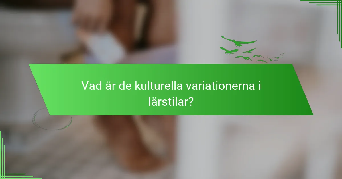 Vad är de kulturella variationerna i lärstilar?