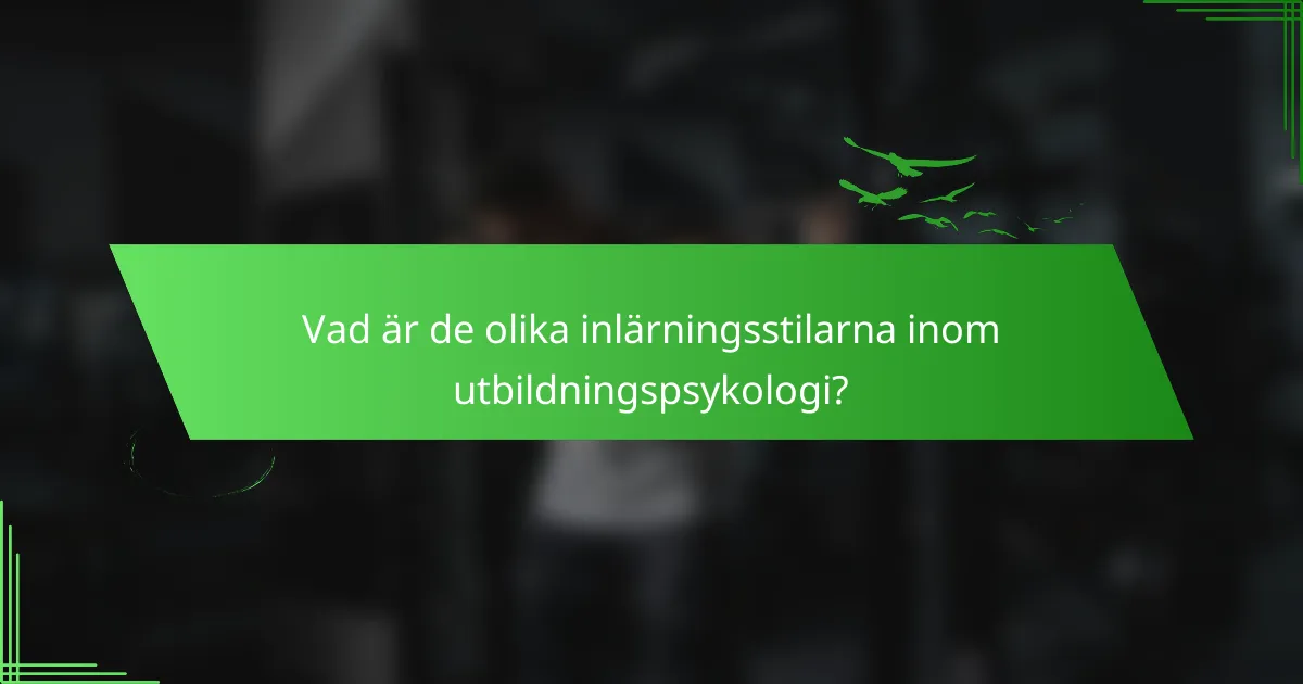 Vad är de olika inlärningsstilarna inom utbildningspsykologi?