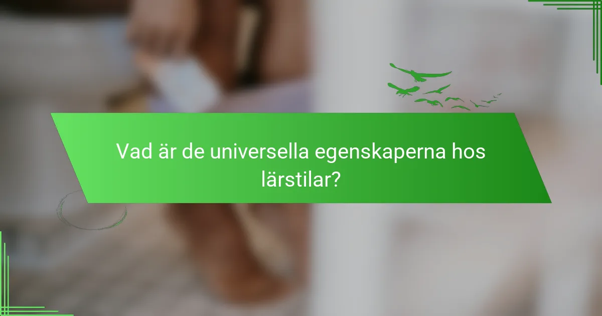 Vad är de universella egenskaperna hos lärstilar?
