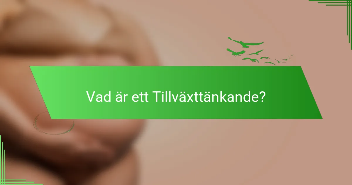 Vad är ett Tillväxttänkande?