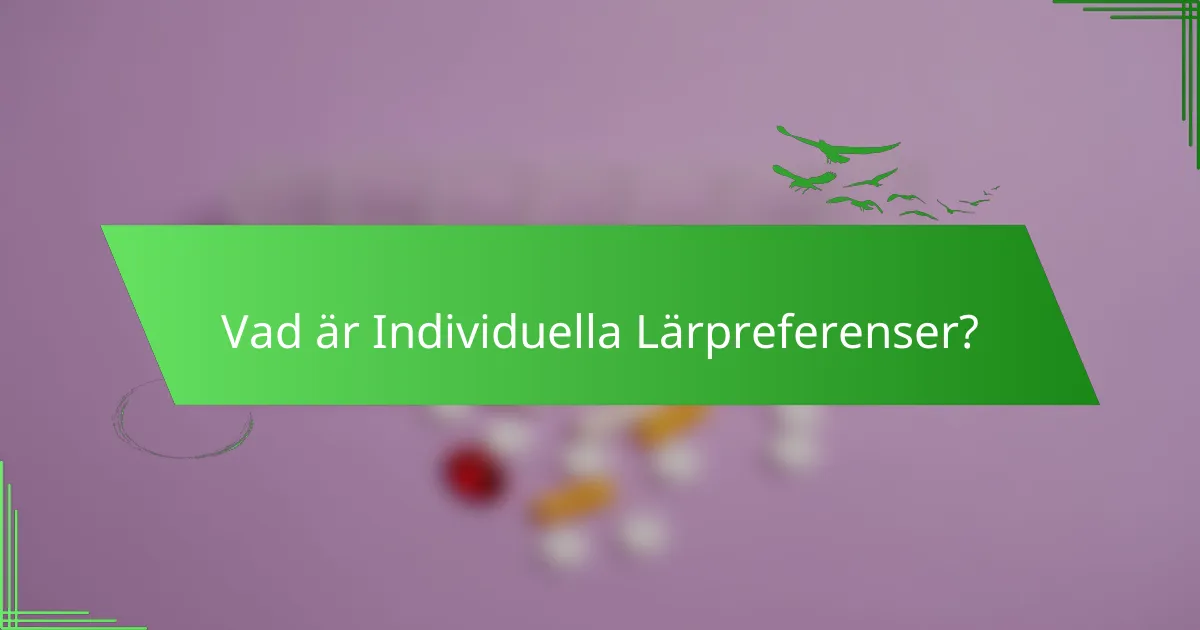 Vad är Individuella Lärpreferenser?