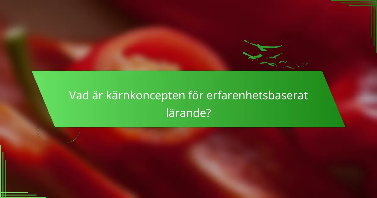 Vad är kärnkoncepten för erfarenhetsbaserat lärande?