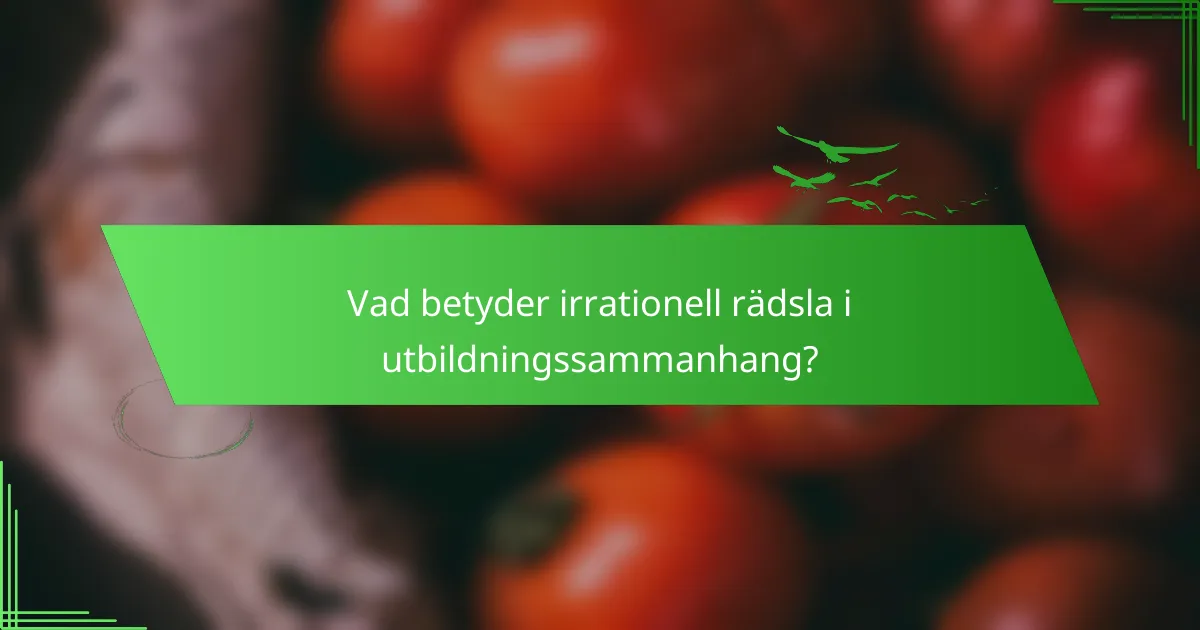 Vad betyder irrationell rädsla i utbildningssammanhang?