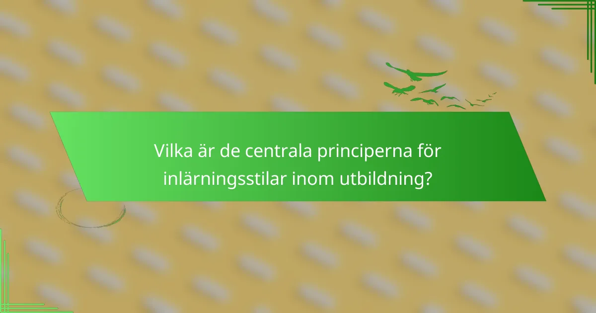 Vilka är de centrala principerna för inlärningsstilar inom utbildning?