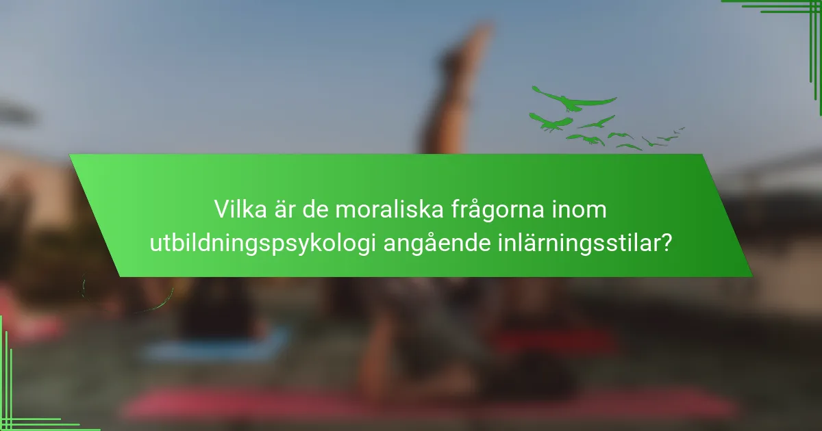 Vilka är de moraliska frågorna inom utbildningspsykologi angående inlärningsstilar?