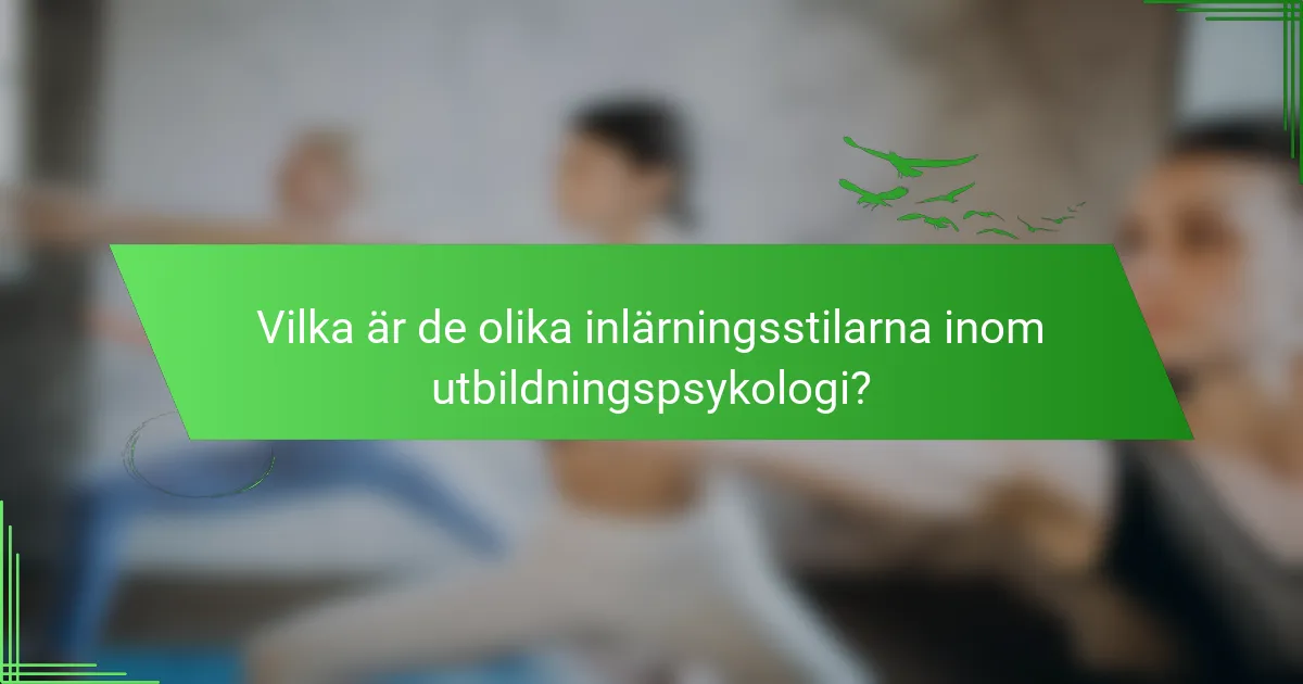 Vilka är de olika inlärningsstilarna inom utbildningspsykologi?