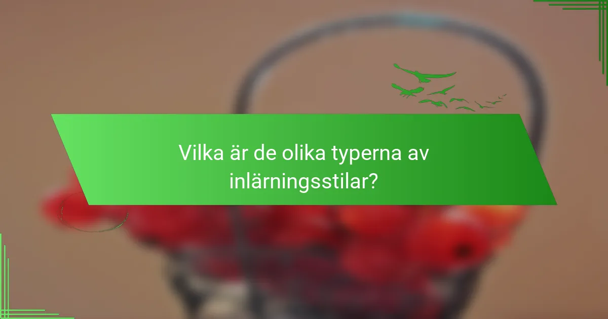 Vilka är de olika typerna av inlärningsstilar?
