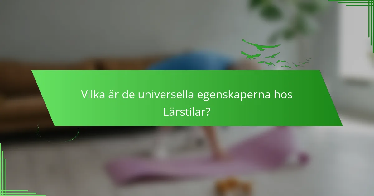 Vilka är de universella egenskaperna hos lärstilar?