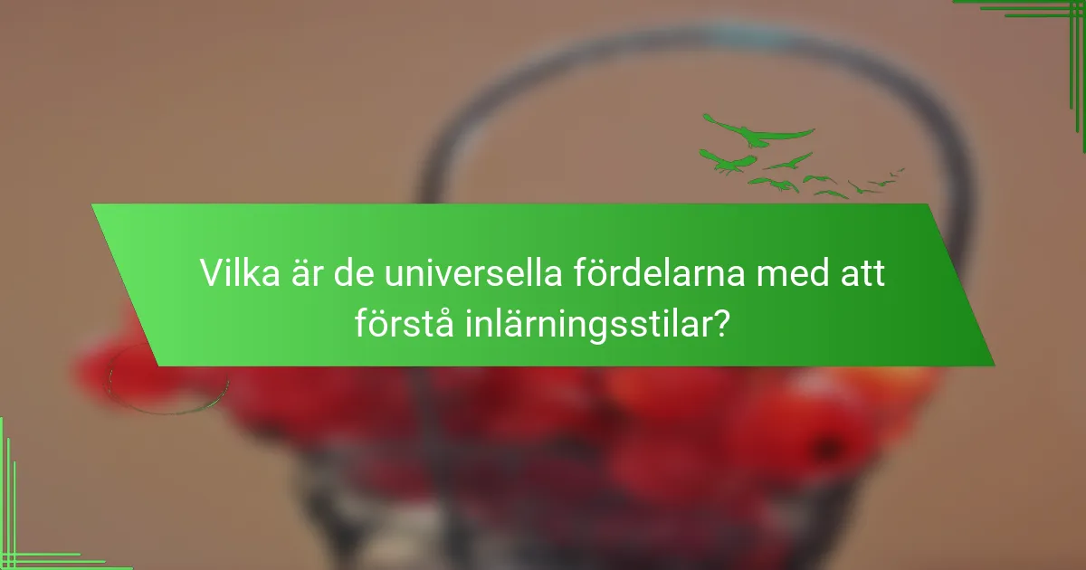 Vilka är de universella fördelarna med att förstå inlärningsstilar?