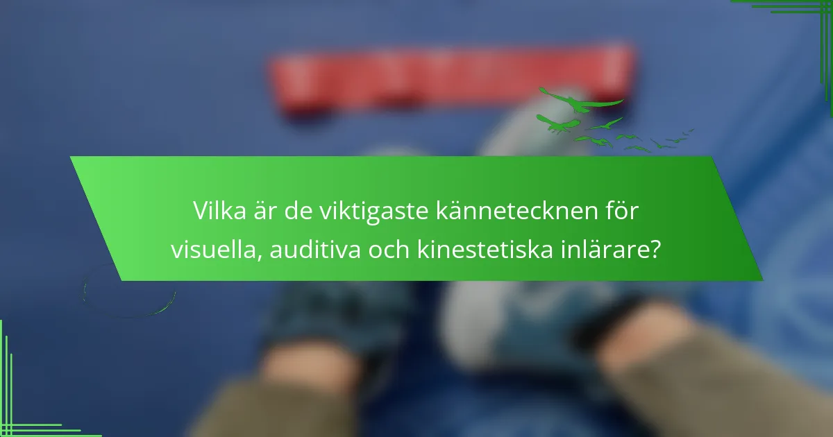 Vilka är de viktigaste kännetecknen för visuella, auditiva och kinestetiska inlärare?