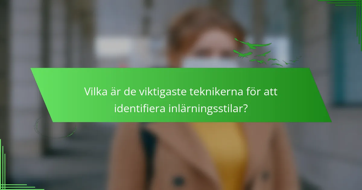 Vilka är de viktigaste teknikerna för att identifiera inlärningsstilar?