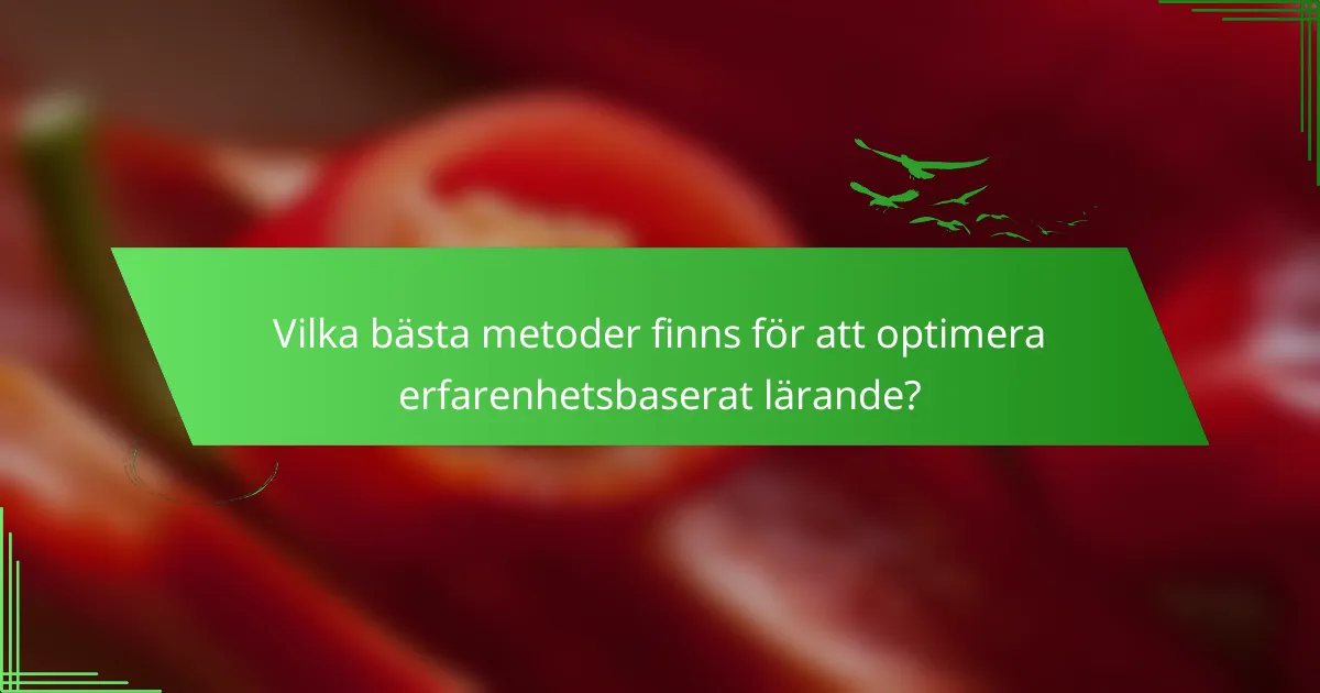 Vilka bästa metoder finns för att optimera erfarenhetsbaserat lärande?