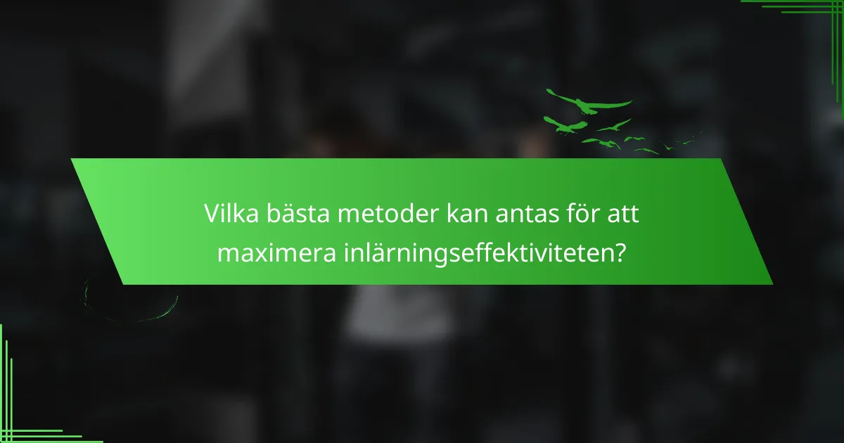 Vilka bästa metoder kan antas för att maximera inlärningseffektiviteten?
