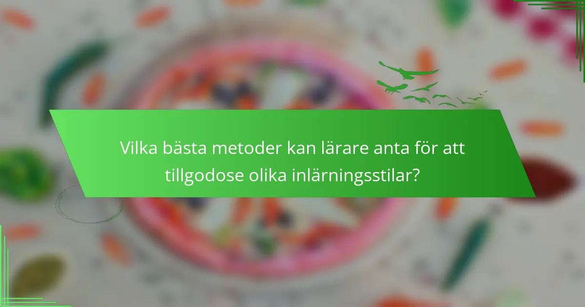 Vilka bästa metoder kan lärare anta för att tillgodose olika inlärningsstilar?