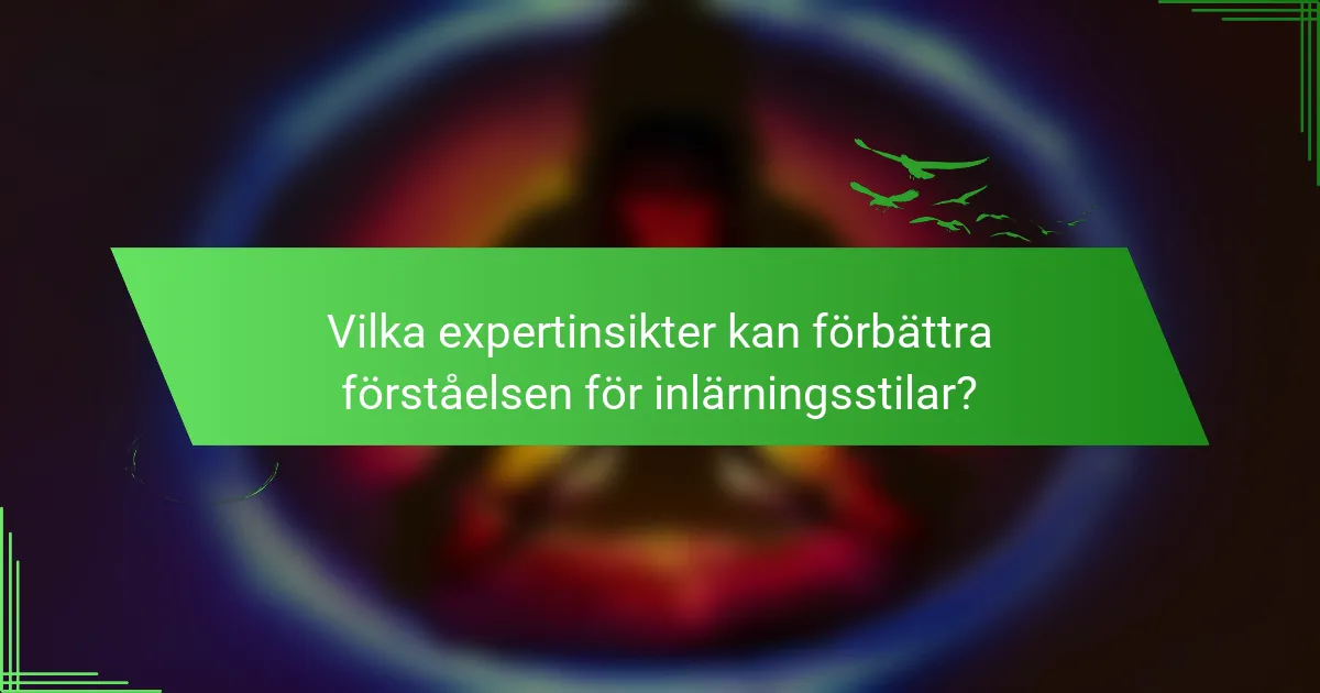 Vilka expertinsikter kan förbättra förståelsen för inlärningsstilar?