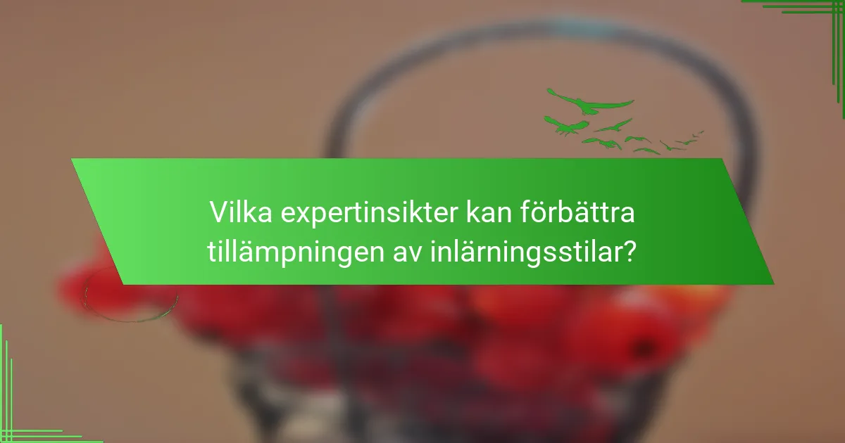 Vilka expertinsikter kan förbättra tillämpningen av inlärningsstilar?