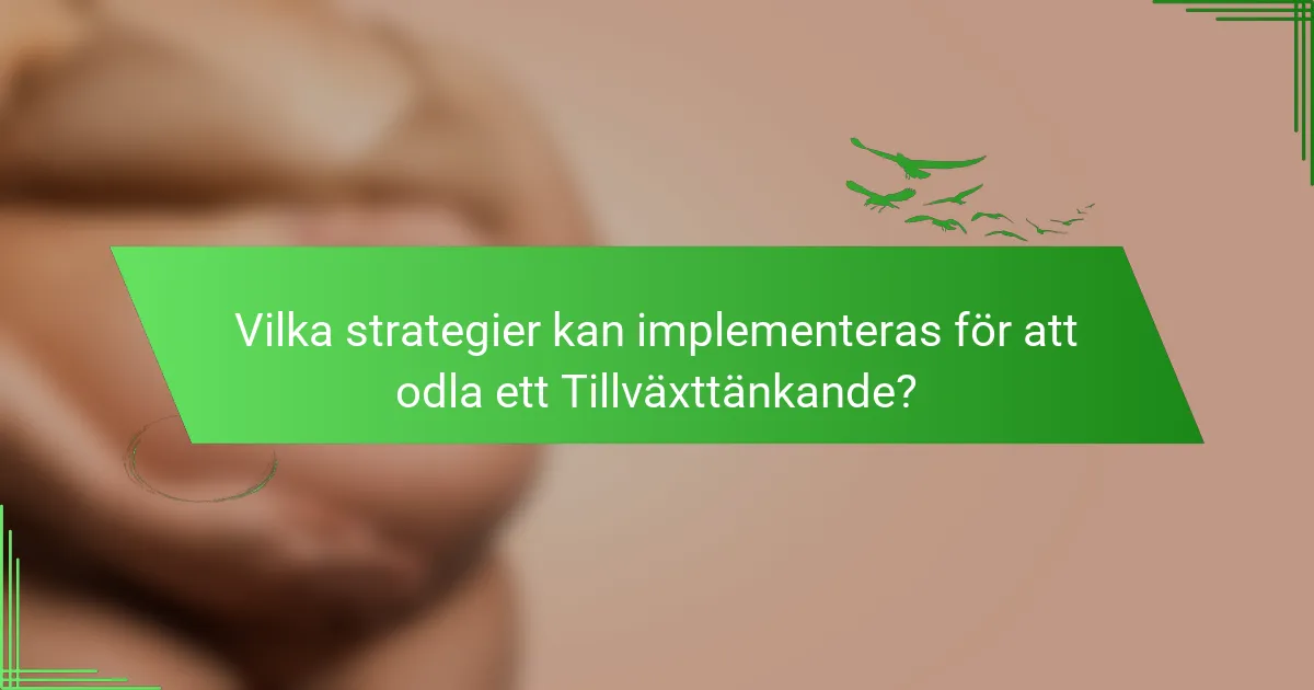 Vilka strategier kan implementeras för att odla ett Tillväxttänkande?