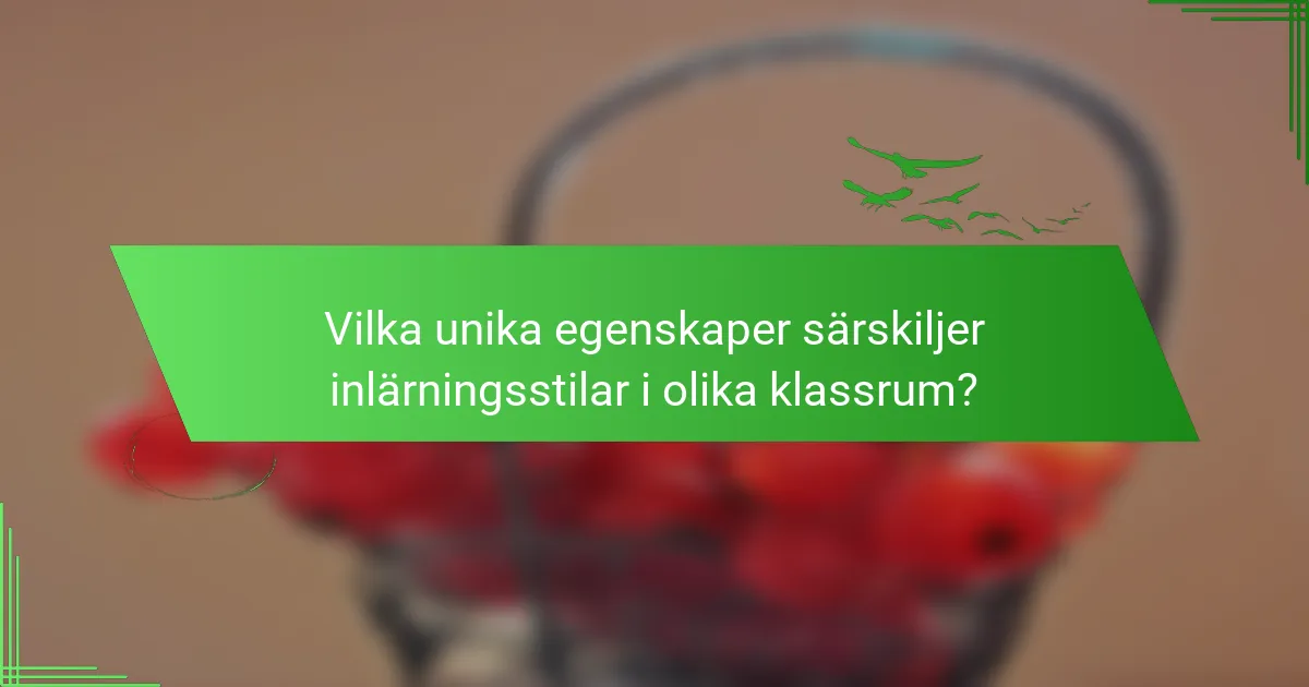 Vilka unika egenskaper särskiljer inlärningsstilar i olika klassrum?