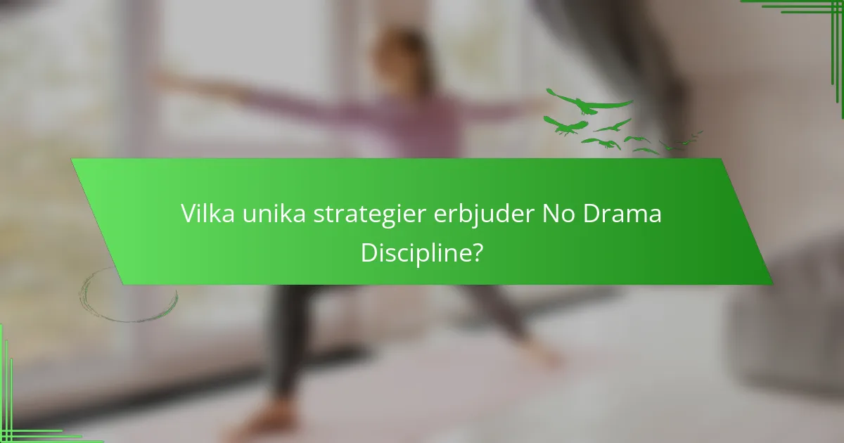 Vilka unika strategier erbjuder No Drama Discipline?
