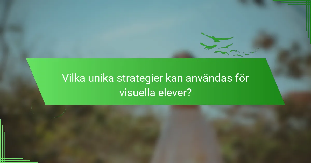 Vilka unika strategier kan användas för visuella elever?