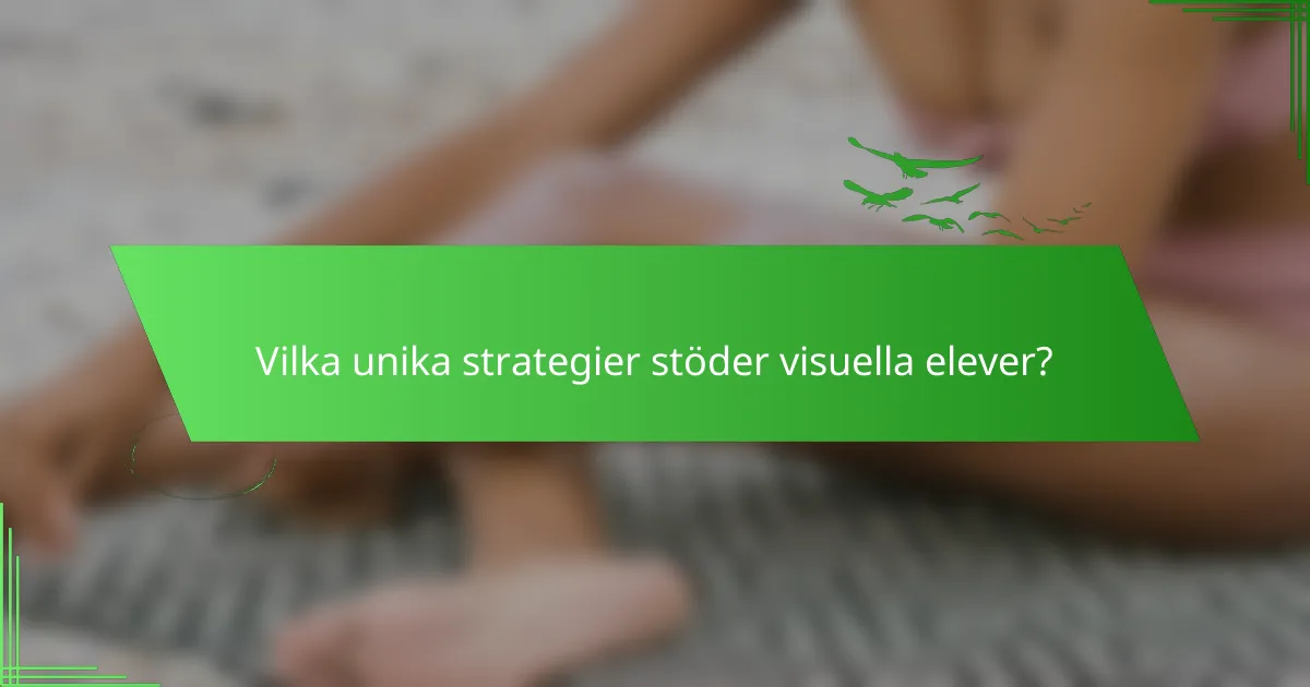 Vilka unika strategier stöder visuella elever?