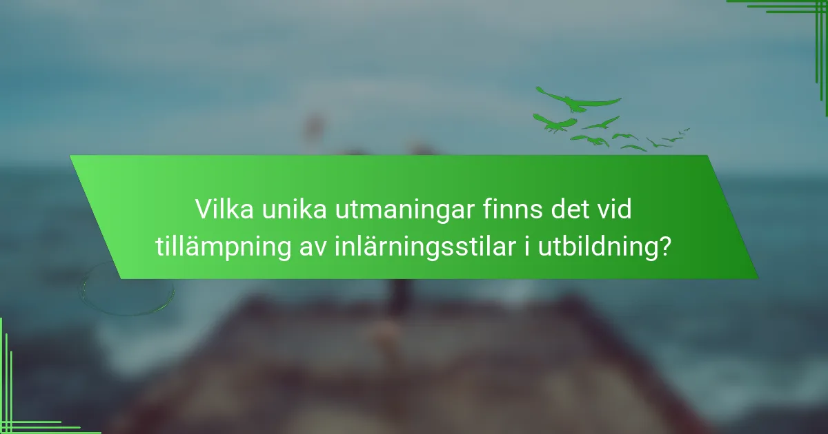 Vilka unika utmaningar finns det vid tillämpning av inlärningsstilar i utbildning?
