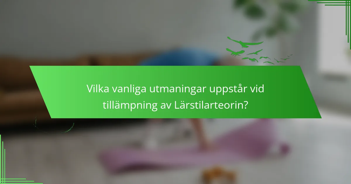 Vilka vanliga utmaningar uppstår vid tillämpning av Lärstilarteorin?