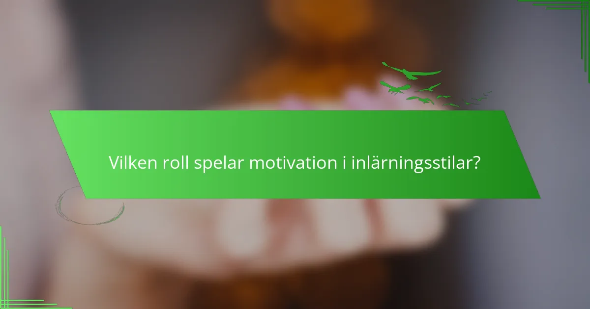 Vilken roll spelar motivation i inlärningsstilar?